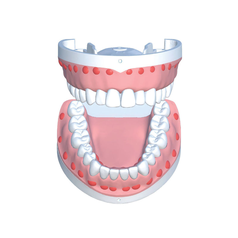 BlockGuide Dental Anesthesia Trainer with Real-time Feedback