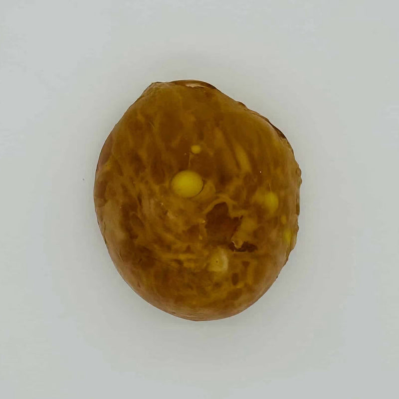 Adult Breast (Simple) for X-Ray CT, US, MRI