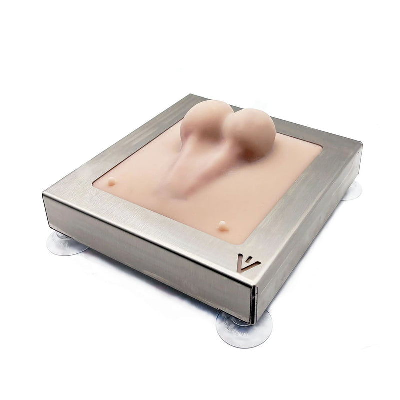 Dog Castration Model