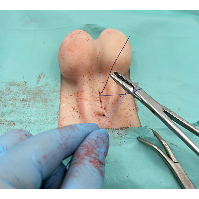 Dog Castration Model