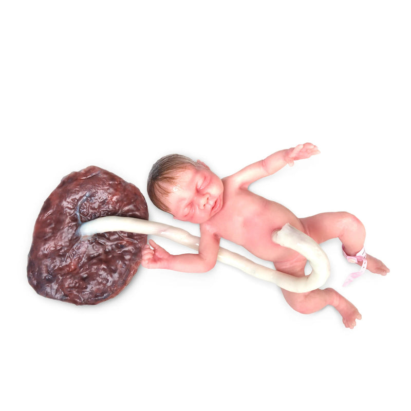 Realistic Preemie Birthing and Nursing Care Simulator 'Baby Lara' with Umbilical Cord and Placenta