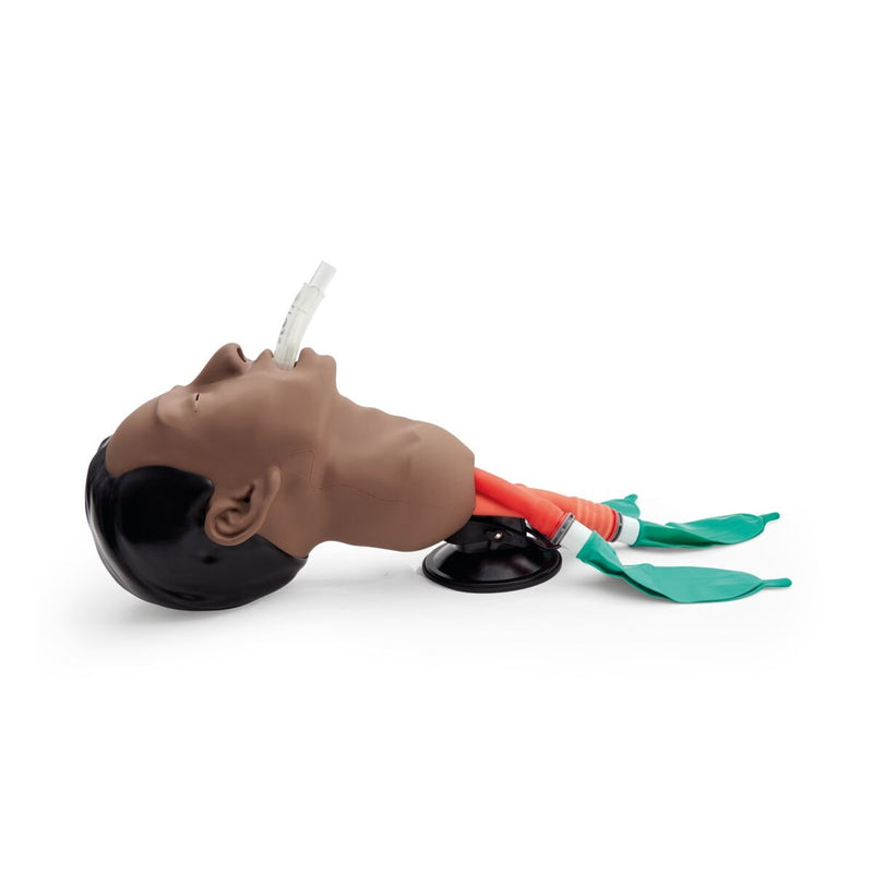 Airway Management Trainer, Dark skin