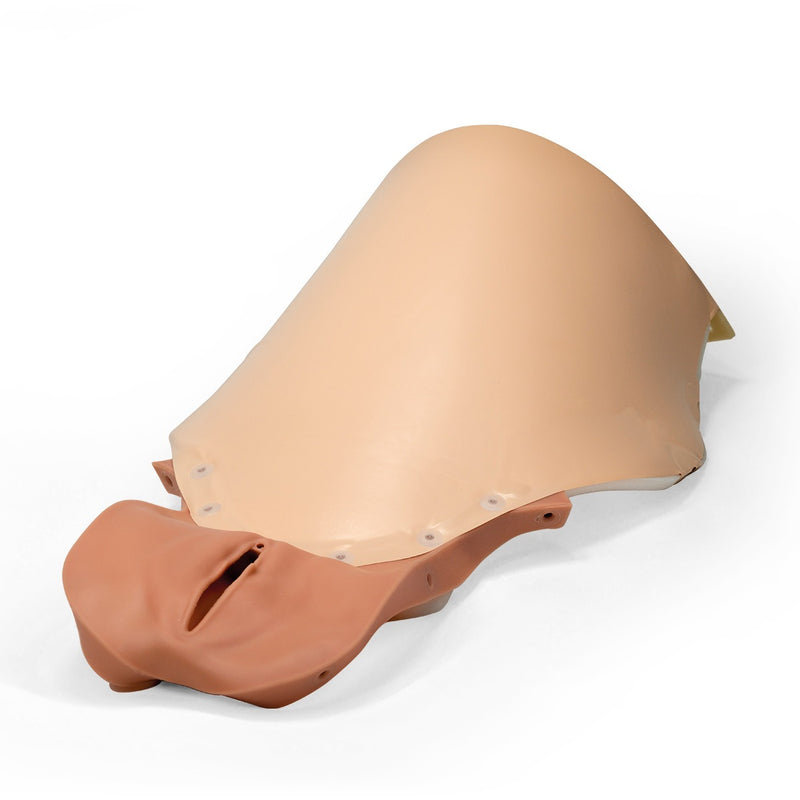Postpartum Hemorrhage Module