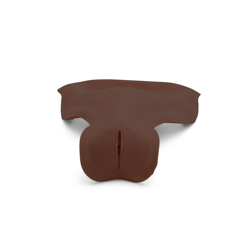Postpartum Hemorrhage Module for Birth Simulator P90, Dark Skin