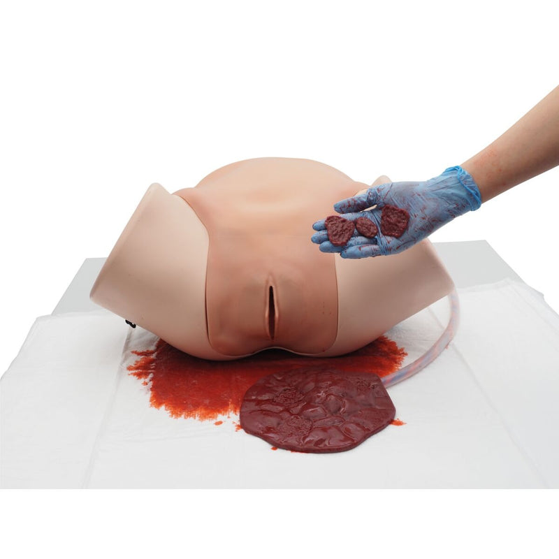 Postpartum Hemorrhage Module for Birth Simulator P90, Light Skin