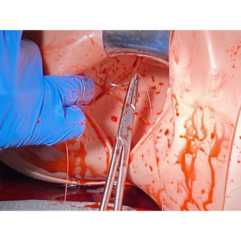 Postpartum Hemorrhage Module for Birth Simulator P90, Light Skin