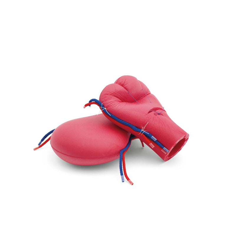 Postpartum Hemorrhage Module for Birth Simulator P90, Dark Skin