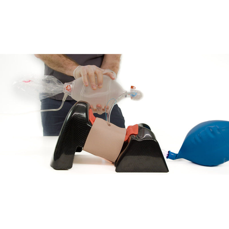 TruCric - Surgical Cricothyroidotomy Training Simulator