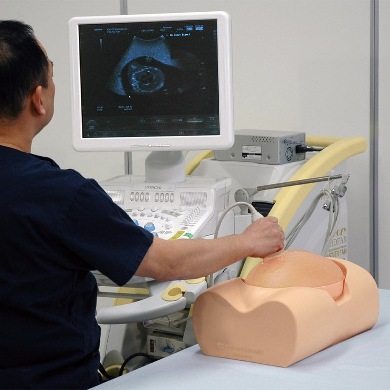 Fetus Ultrasound Examination Phantom SPACE FAN-ST HEART