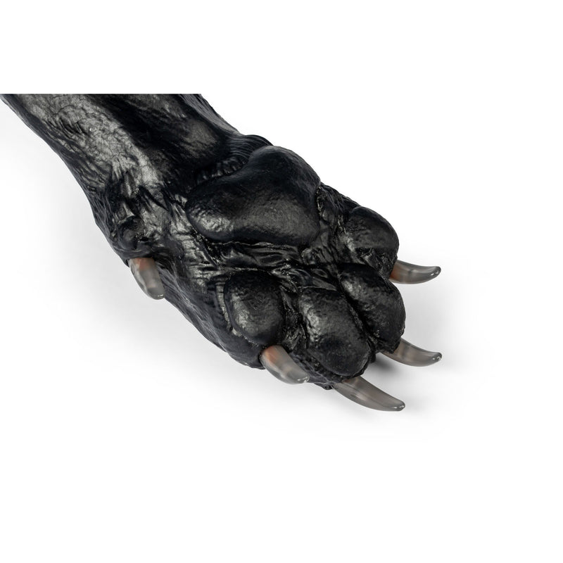Basic Canine Claw Trimming Paw