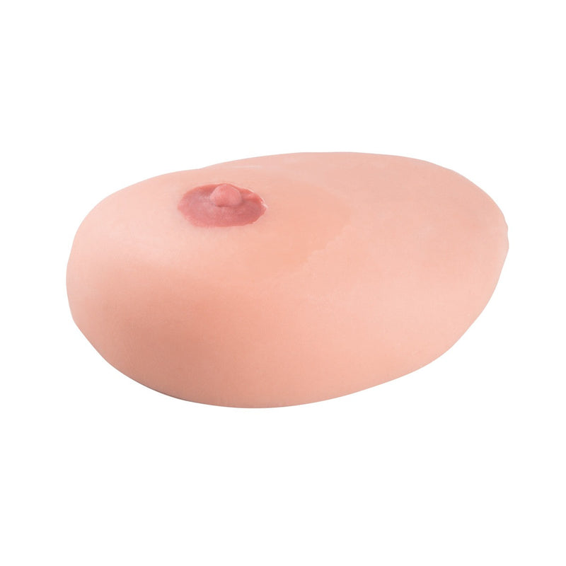 Replacement chest for SONOtrain Breast Model with Cysts P124