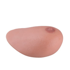 Replacement Chest for the SONOtrain Ultrasound Trainer Chest Model P125