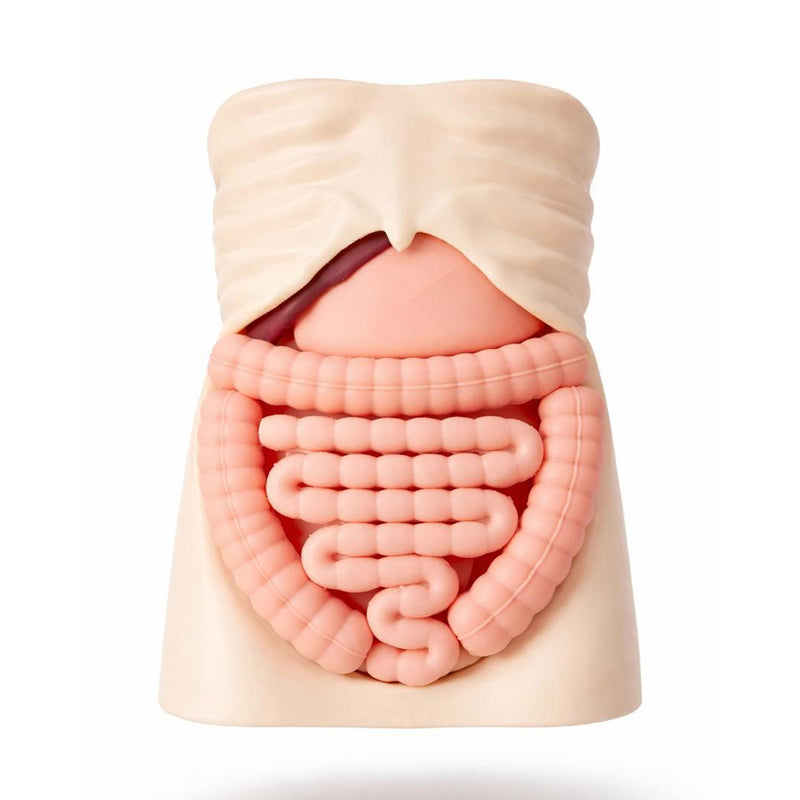 XR-Body Pediatric