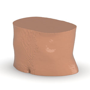 Arterial Phase Abdomen Phantom for CT Scan and X-Ray Training