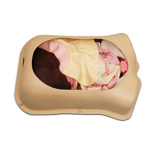 Abdominal Surgery Trainer with Original Organs