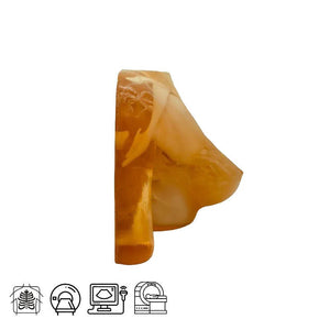 Adult Breast (Complex) for X-Ray CT, US and MRI