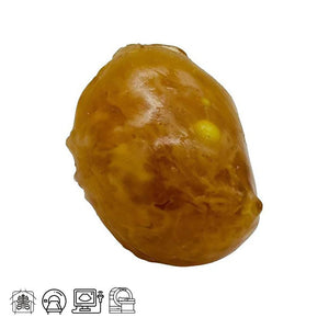 Adult Breast (Simple) for X-Ray CT, US, MRI