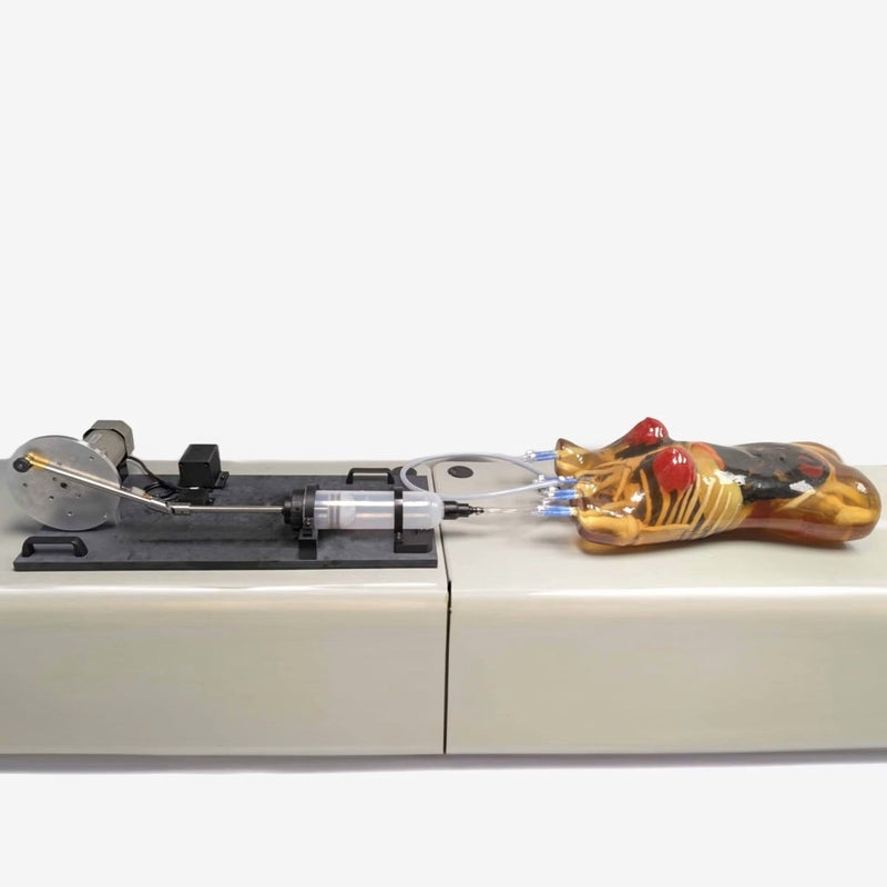 Adult Female Torso (Dynamic) for X-Ray CT, MRI