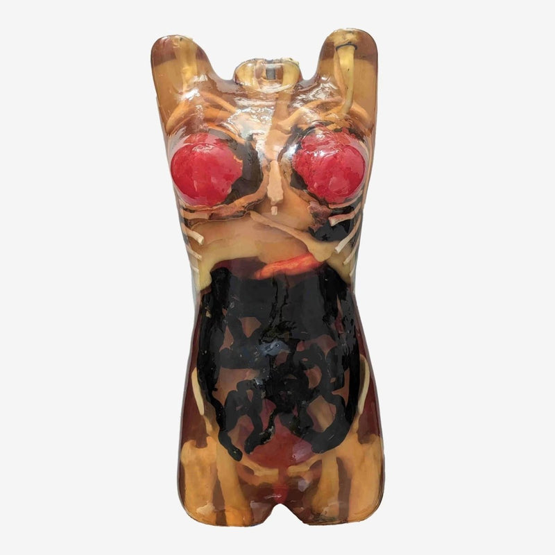 Adult Female Torso for X-Ray CT, MRI