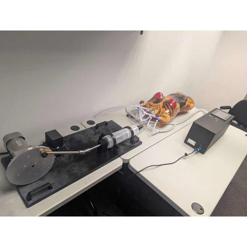 Adult Female Torso for X-Ray CT, MRI