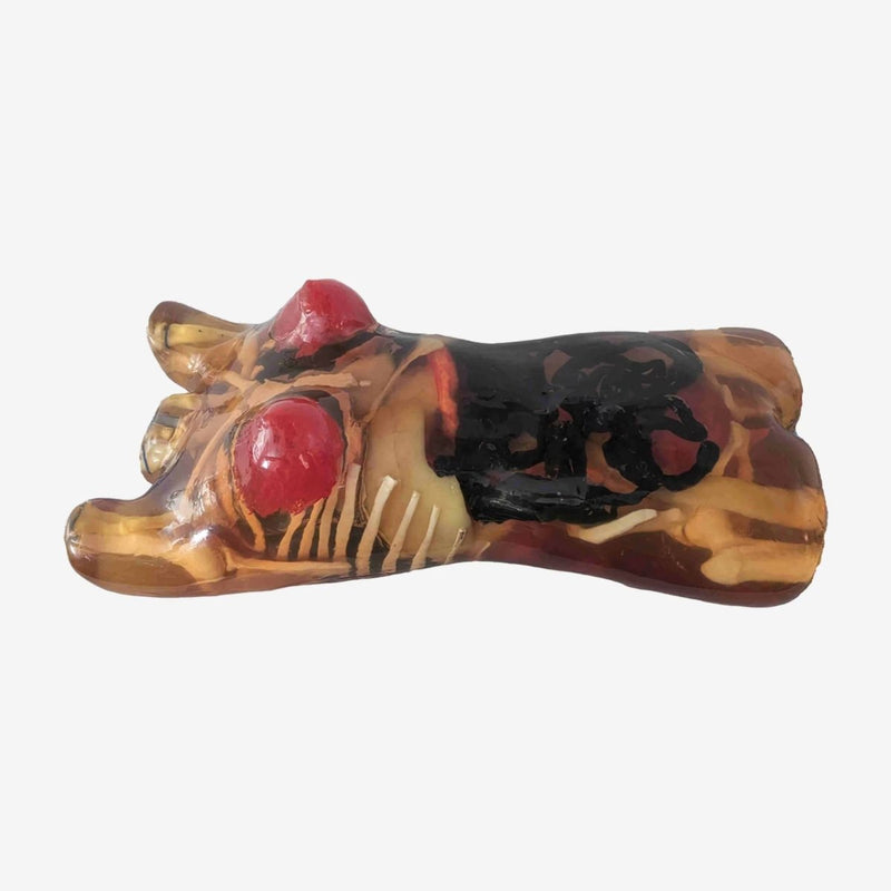 Adult Female Torso for X-Ray CT, MRI