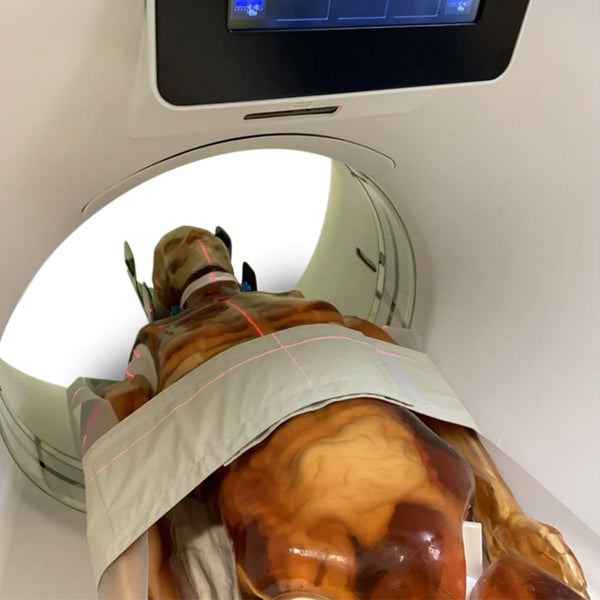 Adult Full Human Body Phantom (with Muscles) for X-Ray, CT Scan and Ul ...