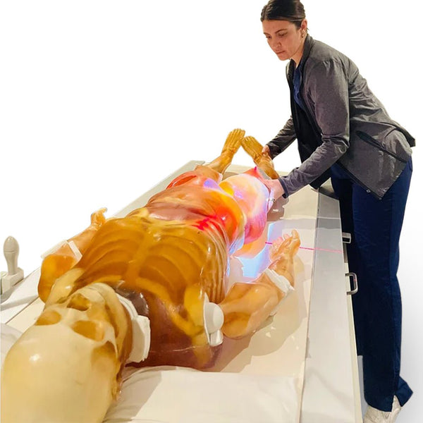 Adult Full Human Body Phantom (with Muscles) for X-Ray, CT Scan and Ul ...