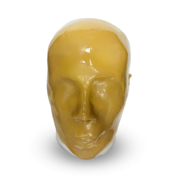 Adult Full Human Body Phantom (with Muscles) for X-Ray, CT Scan and Ul ...