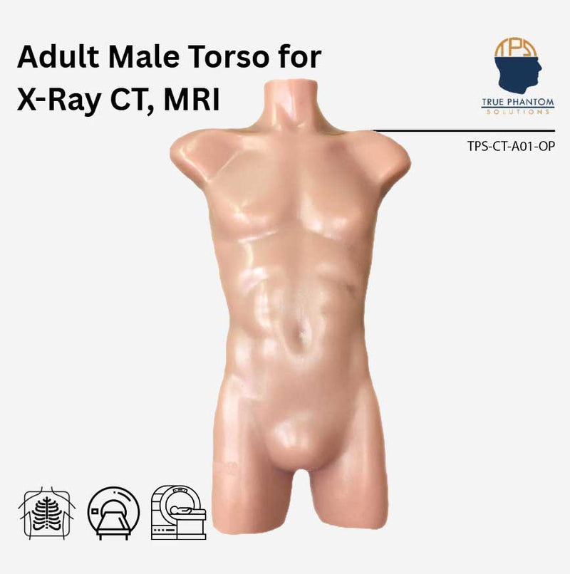 Adult Male Torso Phantom for X-Ray CT Imaging and MRI Training