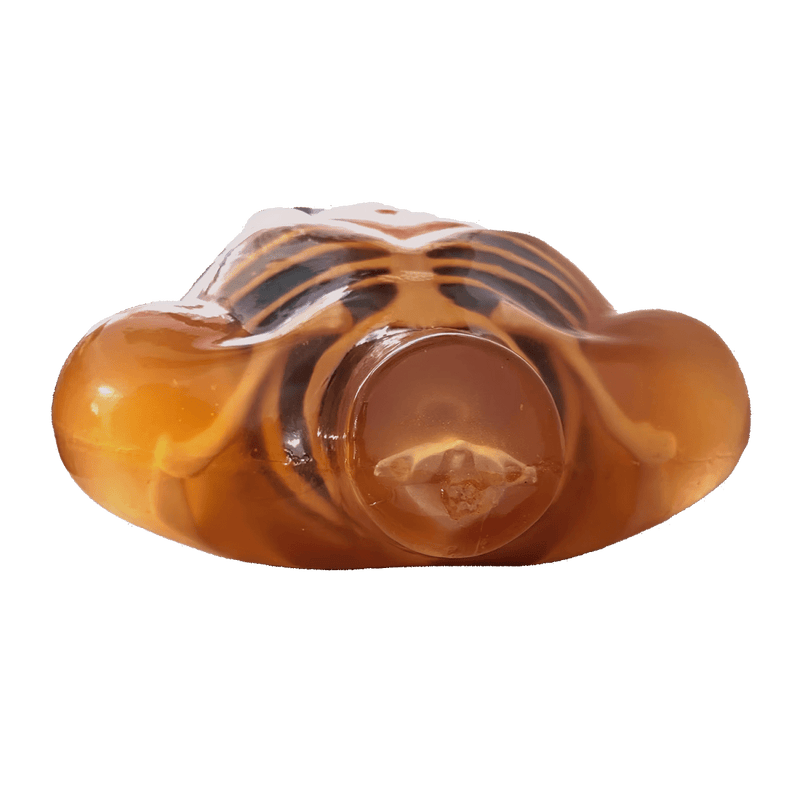 Adult Male Torso Phantom for X-Ray CT Imaging and MRI Training