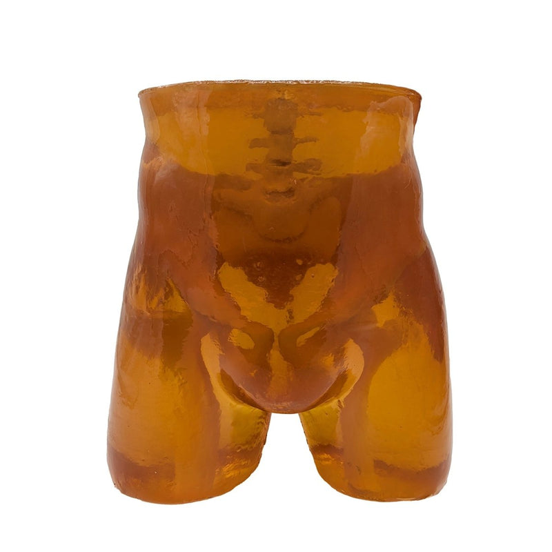 Adult Pelvis Phantom for X-Ray CT, US and MRI