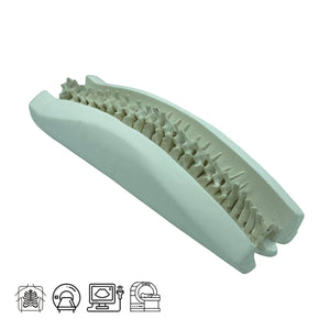 Adult Spine Phantom for X-Ray CT