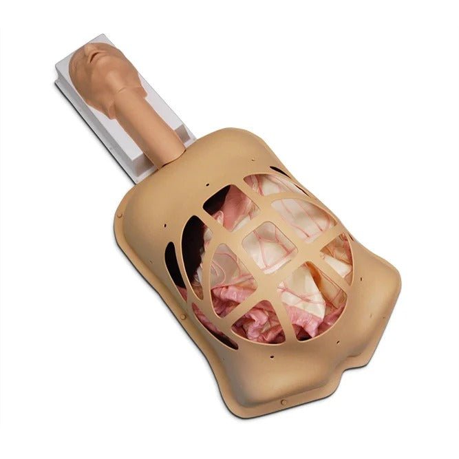 Advanced Abdominal Surgery Trainer with Advanced Organs
