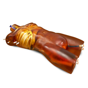Cardiac/FAST Adult Torso with Heart Pump for X-Ray CT and Ultrasound