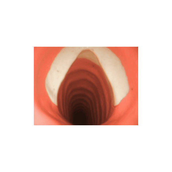 AirSim Advance X Model