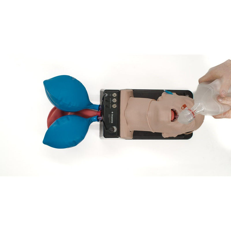 AirSim Difficult Airway Model