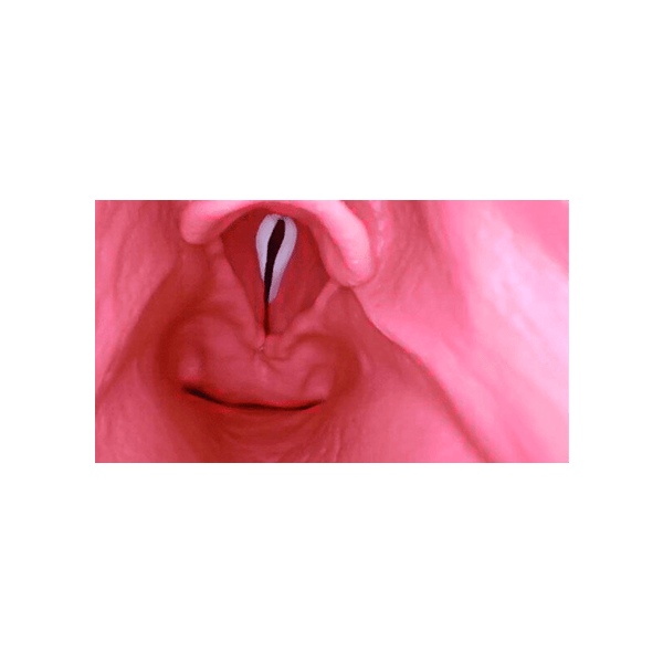 AirSim Difficult Airway Model