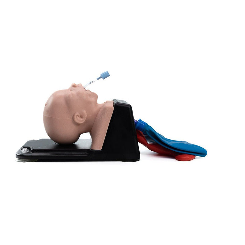 AirSim Pierre Robin X Model