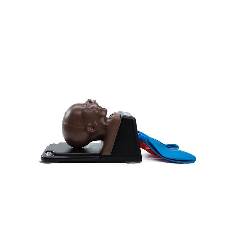 AirSim Pierre Robin X Model