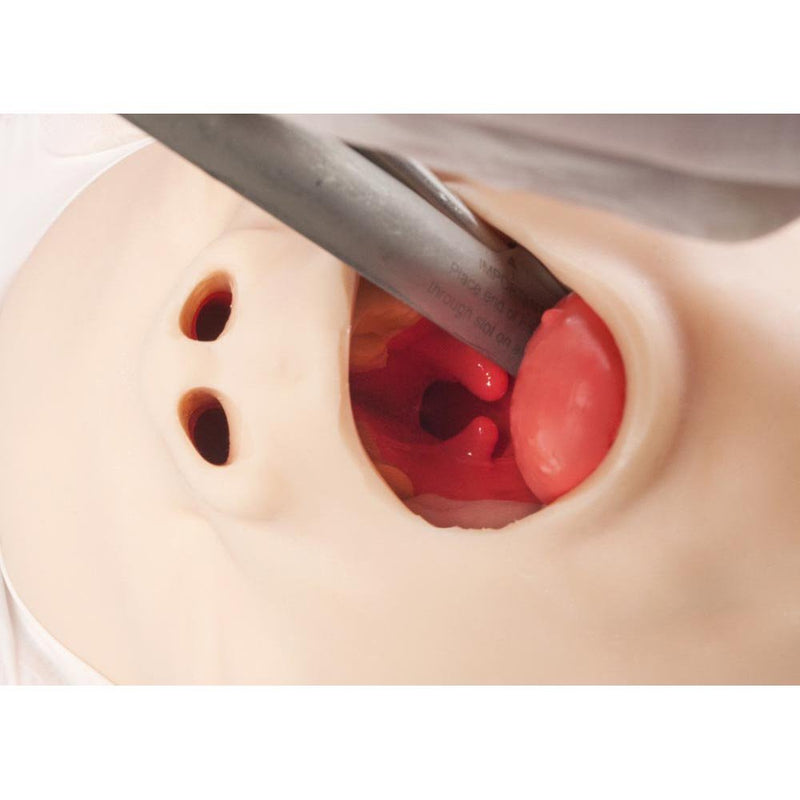 AirSim Pierre Robin X Model