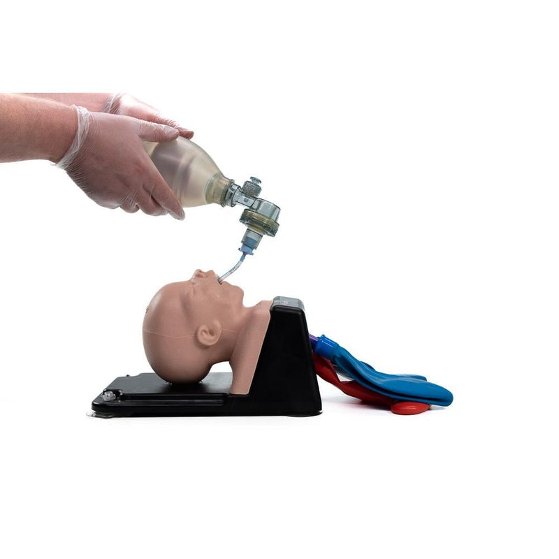 AirSim Pierre Robin X Model