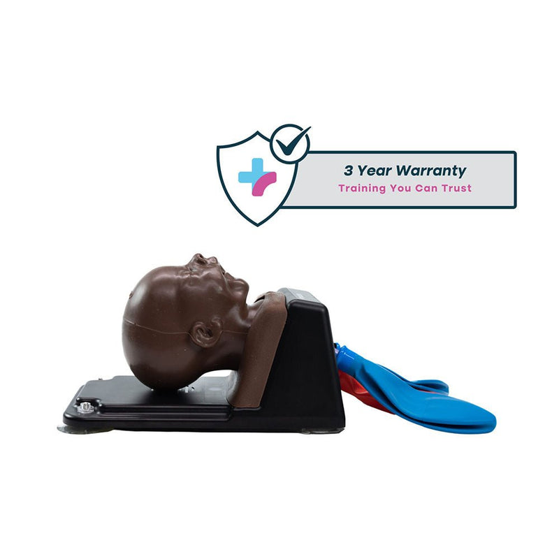 AirSim Pierre Robin X Model