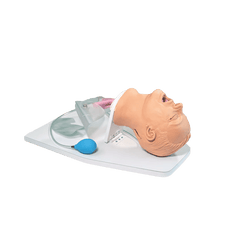 Airway Larry Trainer