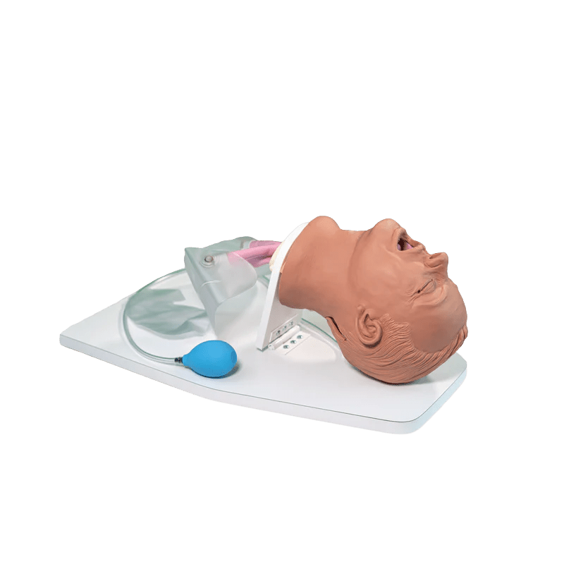 Airway Larry Trainer