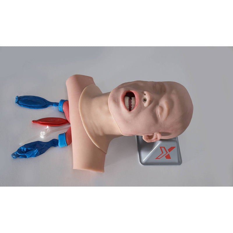 Airway Management Trainer