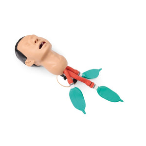 Airway Management Trainer