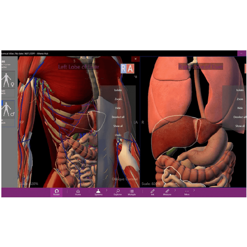 Anatomy Table, Interactive Anatomy Learning Platform