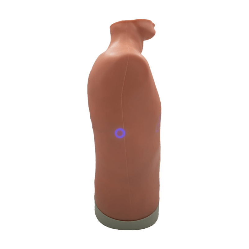 Auscultation Trainer 2.0 with iPad and SmartScope 2.0, Light