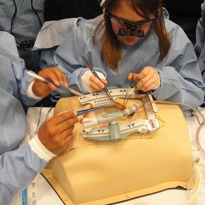 Beating Heart Thorax Trainer with Sternotomy and Pericardial Well