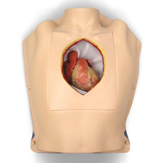 Beating Heart Thorax Trainer with Sternotomy and Pericardial Well